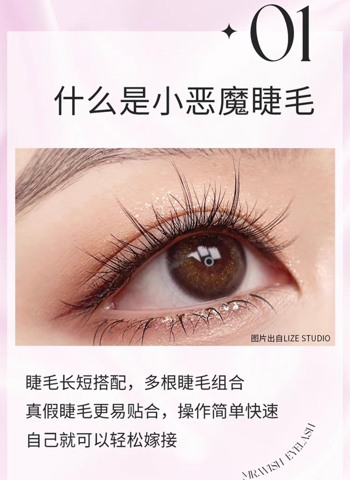MR.WISH心愿先生|小恶魔仙女款假睫毛 Segmented Single Cluster Eyelashes