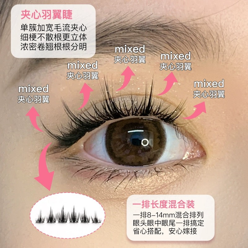 小黑嫚|夹心羽翼睫假睫毛P19 Segmented Single Cluster Eyelashes